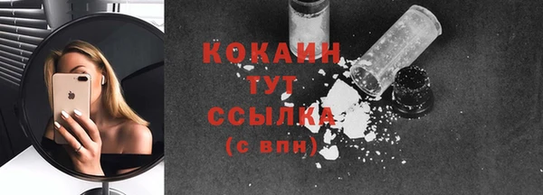 индика Богородицк