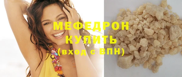 индика Богородицк