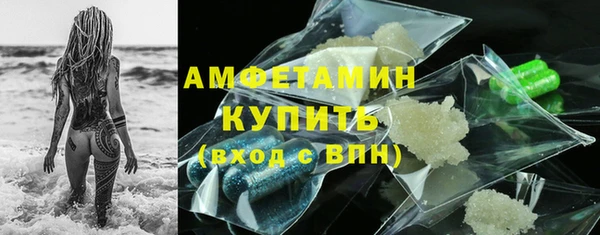 индика Богородицк