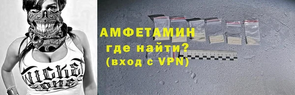 индика Богородицк