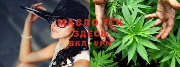 индика Богородицк