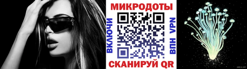 Псилоцибиновые грибы Magic Shrooms сайты даркнета как зайти Большой Камень наркота